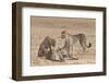 Cheetah (Acinonyx Jubatus) Killing Baby Common Wildebeest (Connochaetes Taurinus)-Ann and Steve Toon-Framed Photographic Print