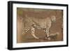 Cheetah (Acinonyx jubatus) mother and cub, Kruger National Park, South Africa, Africa-James Hager-Framed Photographic Print