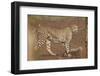 Cheetah (Acinonyx jubatus) mother and cub, Kruger National Park, South Africa, Africa-James Hager-Framed Photographic Print