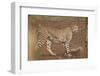 Cheetah (Acinonyx jubatus) mother and cub, Kruger National Park, South Africa, Africa-James Hager-Framed Photographic Print