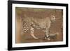 Cheetah (Acinonyx jubatus) mother and cub, Kruger National Park, South Africa, Africa-James Hager-Framed Photographic Print