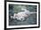 Cheetah (Acinonyx Jubatus) Resting in a Forest, Ndutu, Ngorongoro, Tanzania-null-Framed Photographic Print