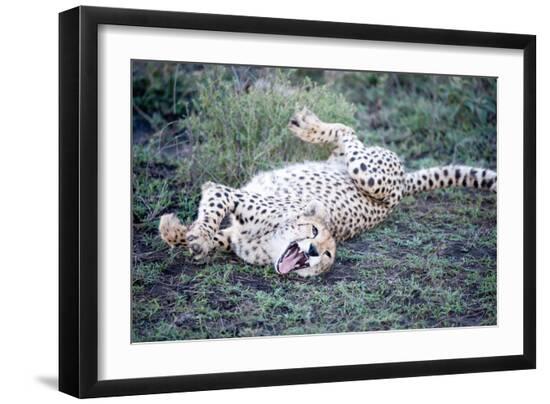 Photographic Print, , large