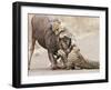 Cheetah (Acinonyx jubatus) two adults, killing Wildebeest, Kruger , South Africa-Andrew Forsyth-Framed Photographic Print