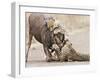 Cheetah (Acinonyx jubatus) two adults, killing Wildebeest, Kruger , South Africa-Andrew Forsyth-Framed Photographic Print