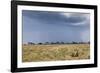 Cheetah and Approaching Storm-Paul Souders-Framed Photographic Print