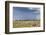 Cheetah and Approaching Storm-Paul Souders-Framed Photographic Print