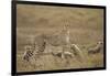 Cheetah and Cubs, Ngorongoro Conservation Area, Tanzania-Paul Souders-Framed Photographic Print