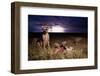 Cheetah and Lightning Storm, Ngorongoro Conservation Area, Tanzania-Paul Souders-Framed Photographic Print