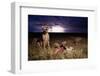 Cheetah and Lightning Storm, Ngorongoro Conservation Area, Tanzania-Paul Souders-Framed Photographic Print