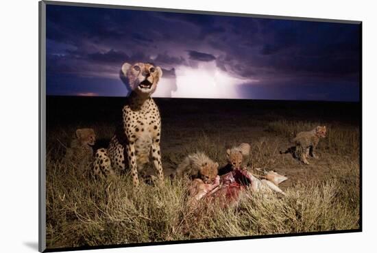 Cheetah and Lightning Storm, Ngorongoro Conservation Area, Tanzania-Paul Souders-Mounted Photographic Print