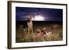 Cheetah and Lightning Storm, Ngorongoro Conservation Area, Tanzania-Paul Souders-Framed Photographic Print