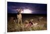 Cheetah and Lightning Storm, Ngorongoro Conservation Area, Tanzania-Paul Souders-Framed Photographic Print