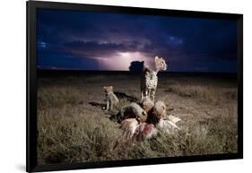 Cheetah and Lightning Storm, Ngorongoro Conservation Area, Tanzania-Paul Souders-Framed Photographic Print