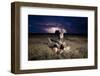 Cheetah and Lightning Storm, Ngorongoro Conservation Area, Tanzania-Paul Souders-Framed Photographic Print