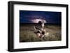 Cheetah and Lightning Storm, Ngorongoro Conservation Area, Tanzania-Paul Souders-Framed Photographic Print