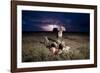 Cheetah and Lightning Storm, Ngorongoro Conservation Area, Tanzania-Paul Souders-Framed Photographic Print