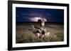 Cheetah and Lightning Storm, Ngorongoro Conservation Area, Tanzania-Paul Souders-Framed Photographic Print