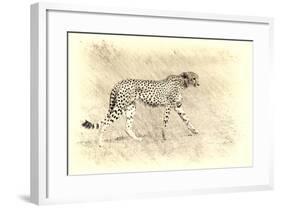 Cheetah, Artistic Version, Walking in Grassland Botswana, Africa-Sheila Haddad-Framed Photographic Print