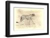 Cheetah, Artistic Version, Walking in Grassland Botswana, Africa-Sheila Haddad-Framed Photographic Print