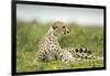 Cheetah at Ngorongoro Conservation Area, Tanzania-Paul Souders-Framed Photographic Print