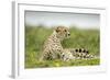 Cheetah at Ngorongoro Conservation Area, Tanzania-Paul Souders-Framed Photographic Print