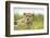 Cheetah at Ngorongoro Conservation Area, Tanzania-Paul Souders-Framed Photographic Print