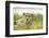 Cheetah at Ngorongoro Conservation Area, Tanzania-Paul Souders-Framed Photographic Print