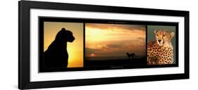 Cheetah at Sunset-Michel & Christine Denis-Huot-Framed Art Print