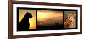 Cheetah at Sunset-Michel & Christine Denis-Huot-Framed Art Print