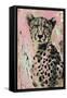 Cheetah Charm-Sasha-Framed Stretched Canvas