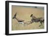 Cheetah Chasing Thomson's Gazelle-Paul Souders-Framed Premium Photographic Print