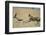 Cheetah Chasing Thomson's Gazelle-Paul Souders-Framed Premium Photographic Print