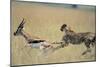 Cheetah Chasing Thomson's Gazelle-Paul Souders-Mounted Photographic Print