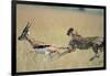 Cheetah Chasing Thomson's Gazelle-Paul Souders-Framed Photographic Print