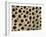 Cheetah, Close-Up of Fur / Coat, Showing Spot Pattern-null-Framed Photographic Print