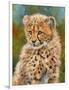 Cheetah Cub 3-David Stribbling-Framed Art Print