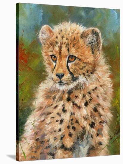 Cheetah Cub 3-David Stribbling-Stretched Canvas