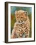 Cheetah Cub 3-David Stribbling-Framed Art Print