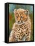 Cheetah Cub 3-David Stribbling-Framed Stretched Canvas