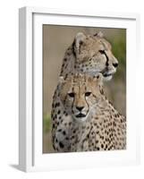 Cheetah Cub and Mother, Masai Mara National Reserve-James Hager-Framed Photographic Print