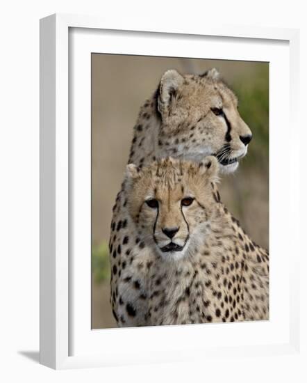 Cheetah Cub and Mother, Masai Mara National Reserve-James Hager-Framed Photographic Print