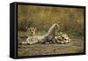 Cheetah Cub and Mother-Paul Souders-Framed Stretched Canvas