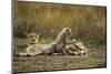 Cheetah Cub and Mother-Paul Souders-Mounted Premium Photographic Print