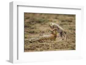 Cheetah Cub and Mother-Paul Souders-Framed Photographic Print