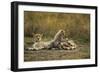 Cheetah Cub and Mother-Paul Souders-Framed Photographic Print