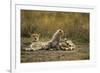 Cheetah Cub and Mother-Paul Souders-Framed Photographic Print