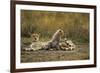 Cheetah Cub and Mother-Paul Souders-Framed Photographic Print