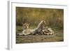 Cheetah Cub and Mother-Paul Souders-Framed Photographic Print