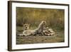 Cheetah Cub and Mother-Paul Souders-Framed Photographic Print